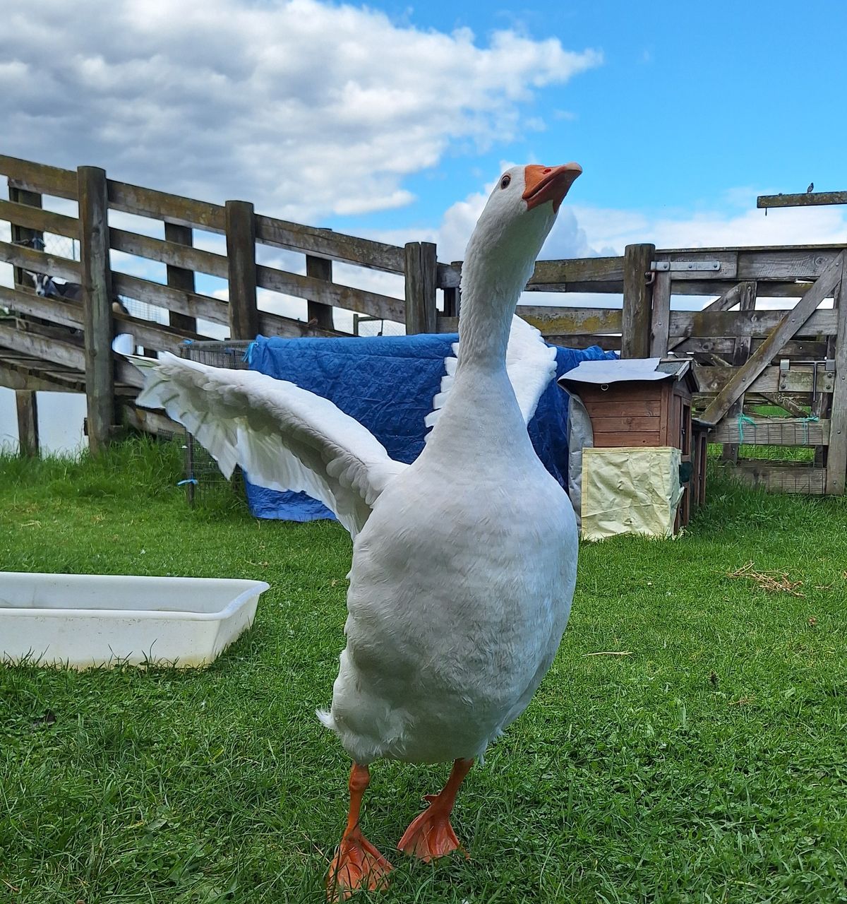 Gallery image: Juice