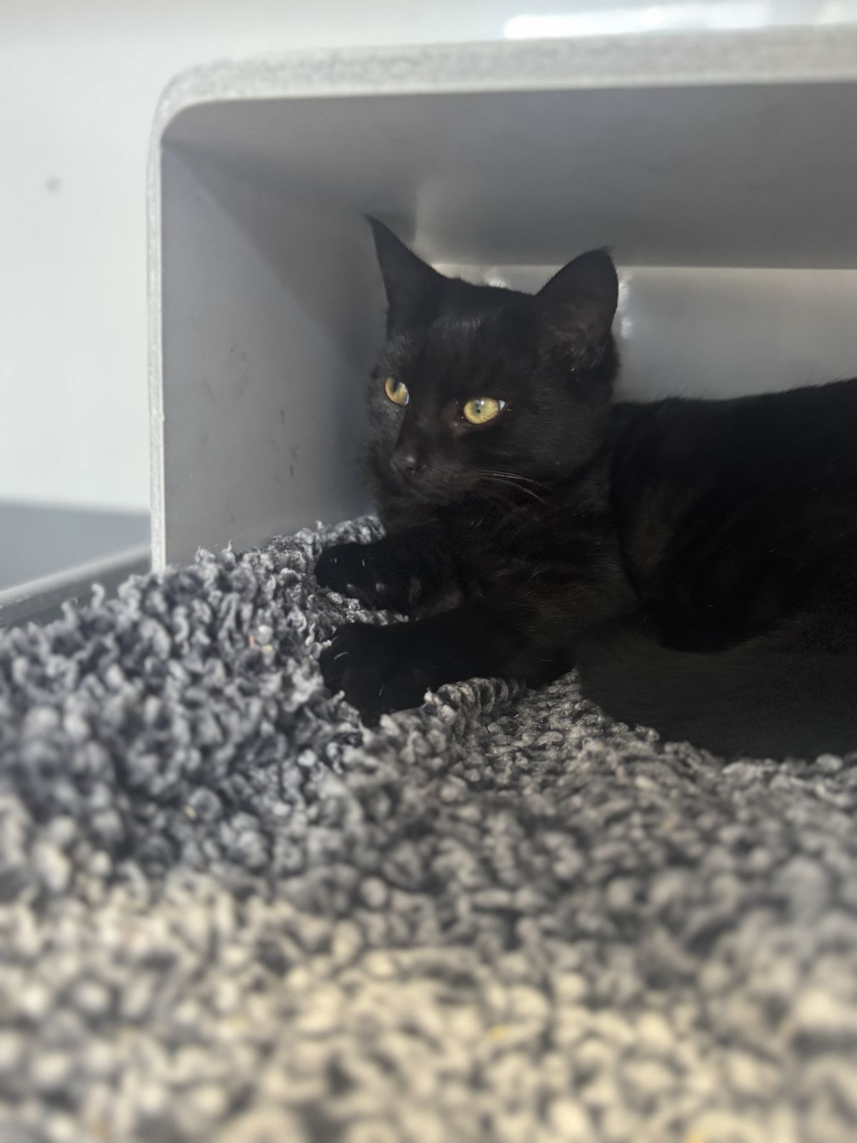 Gallery image: Plankton