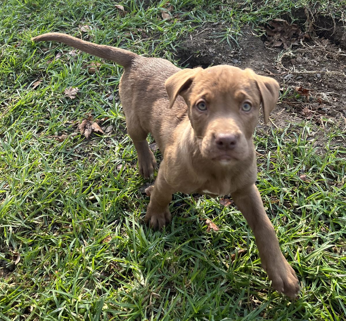 Gallery image: Harlow