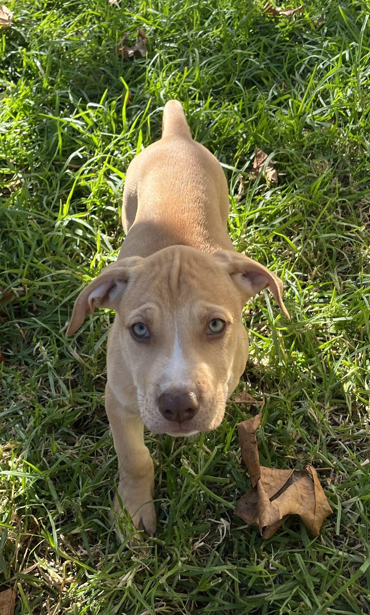 Gallery image: Harley