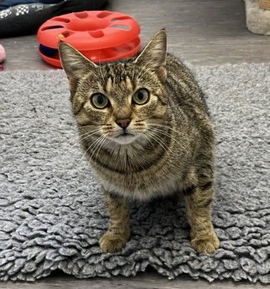 Gallery image: Martha