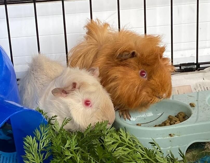 Gallery image: Crunch