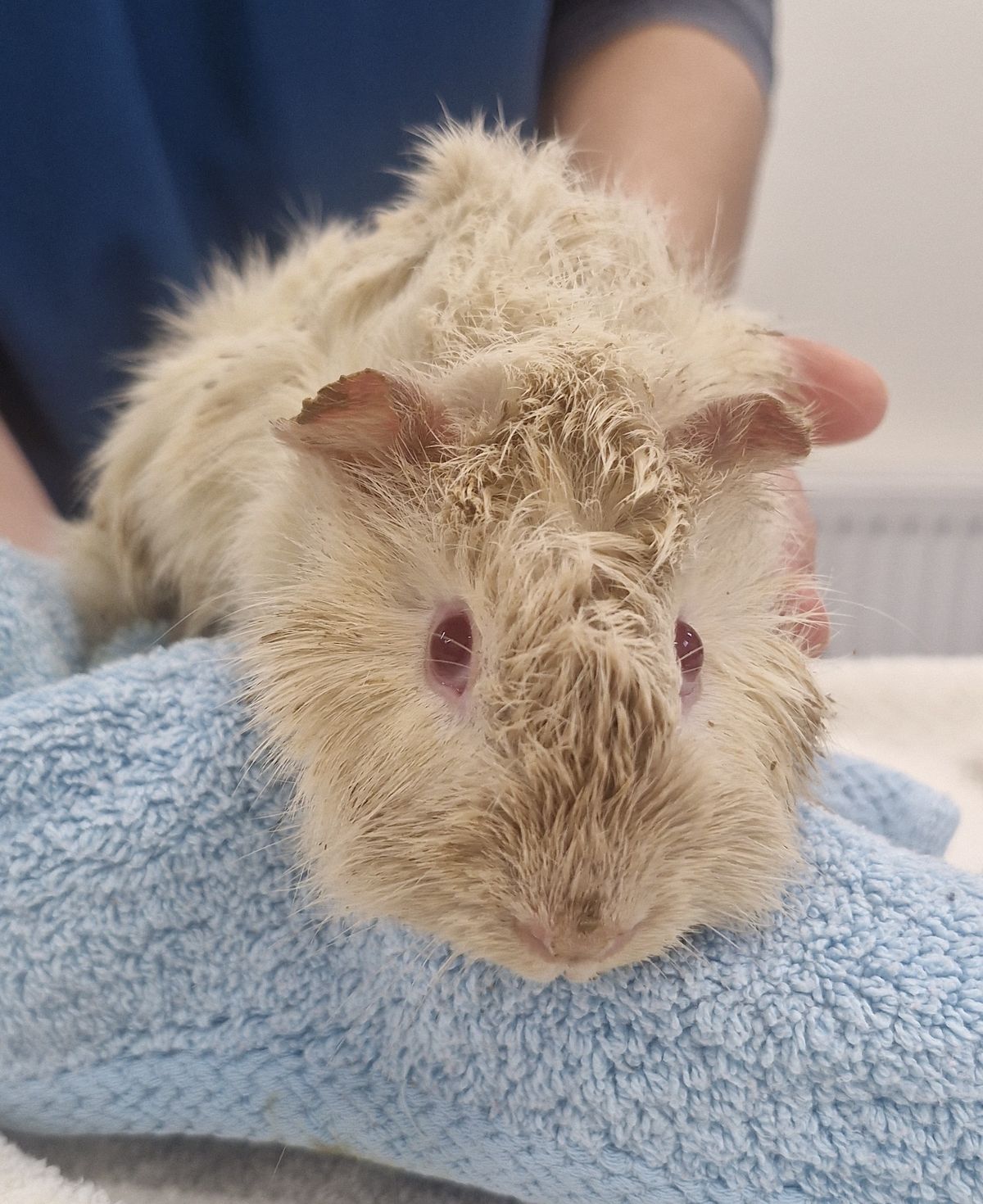 Gallery image: Crunch