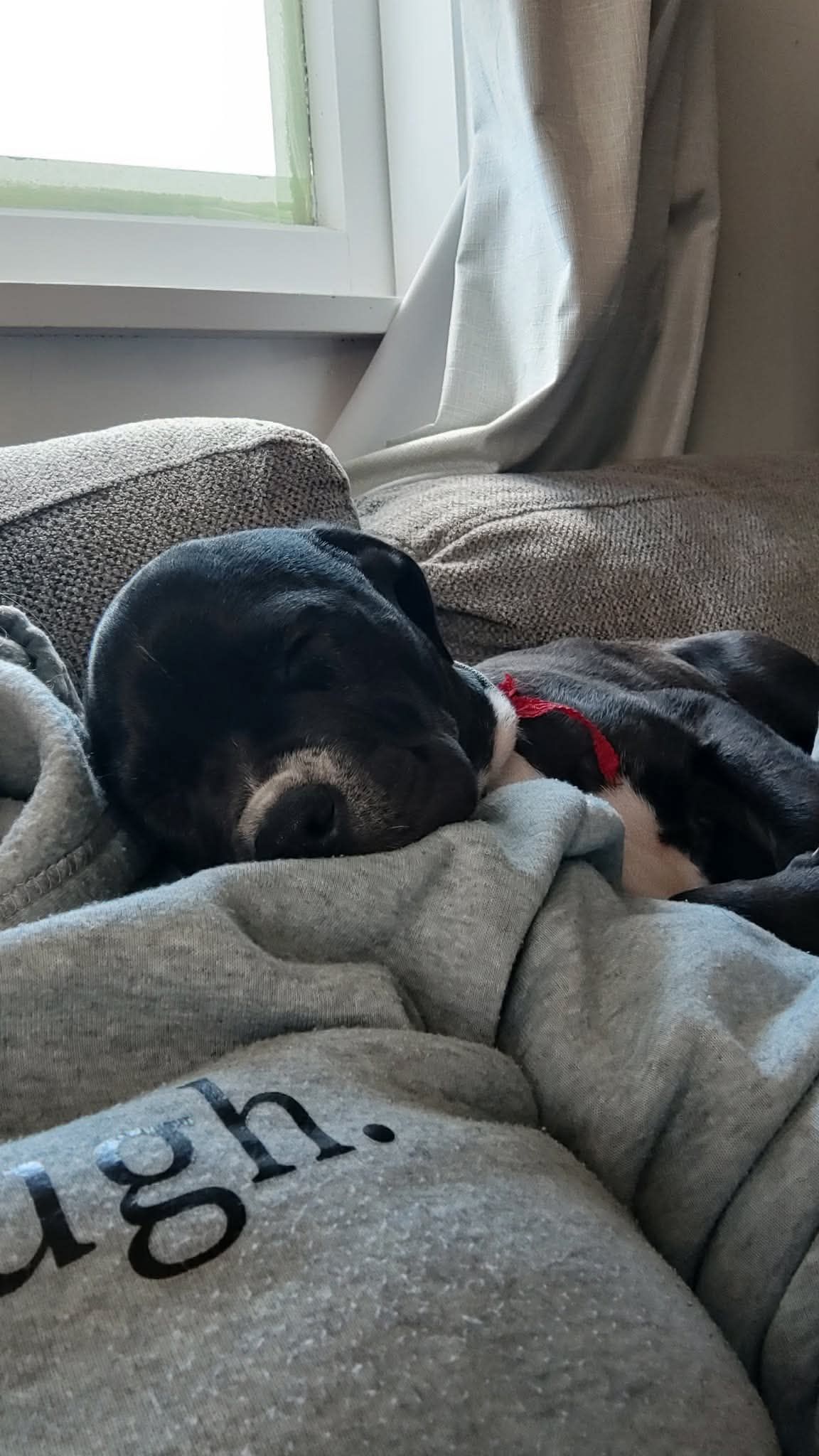 Gallery image: Pocket Button