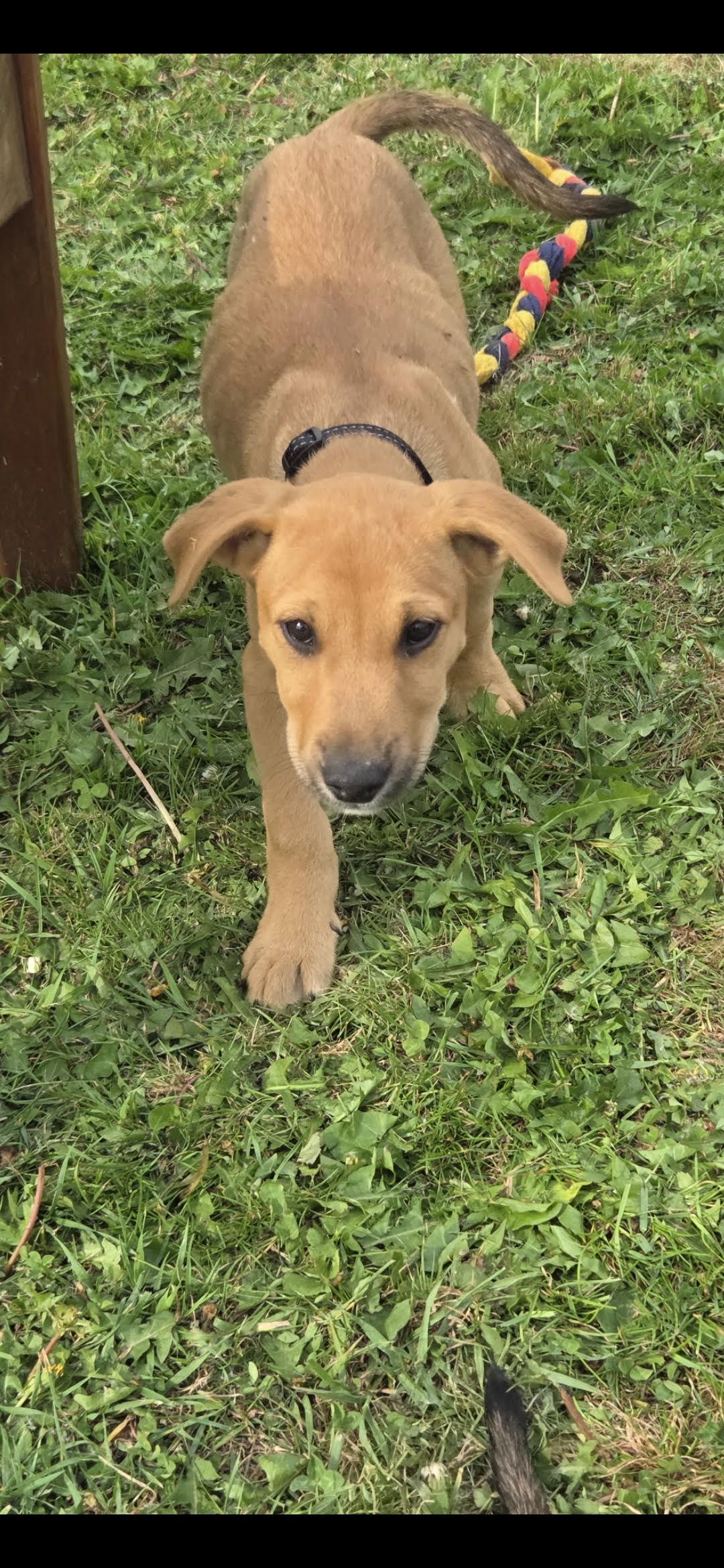 Gallery image: Whiskey