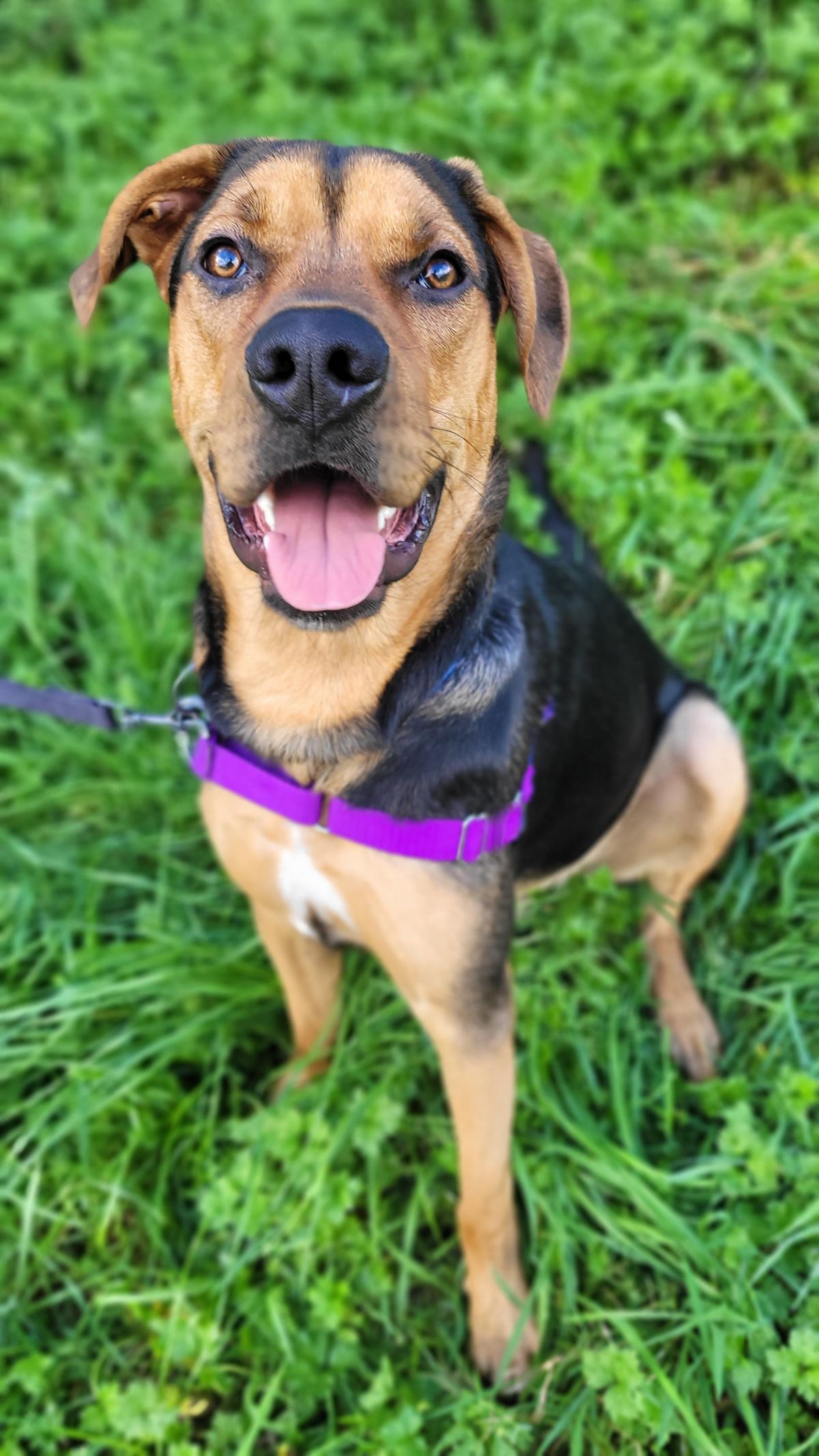 Gallery image: Trevor