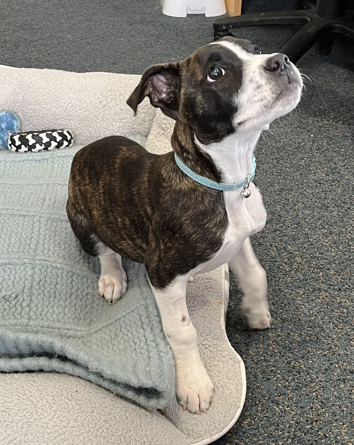 Gallery image: Parker