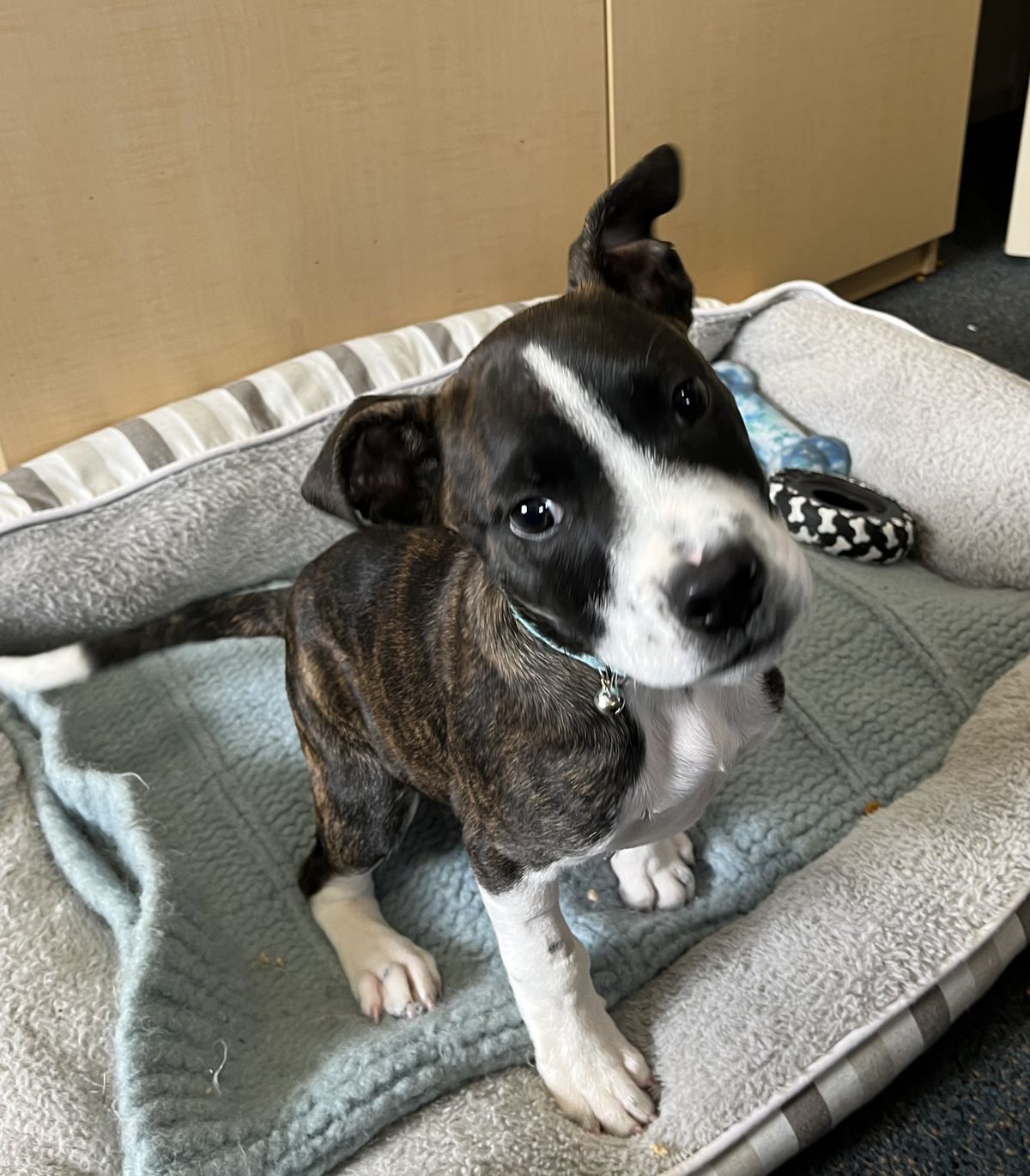 Gallery image: Parker