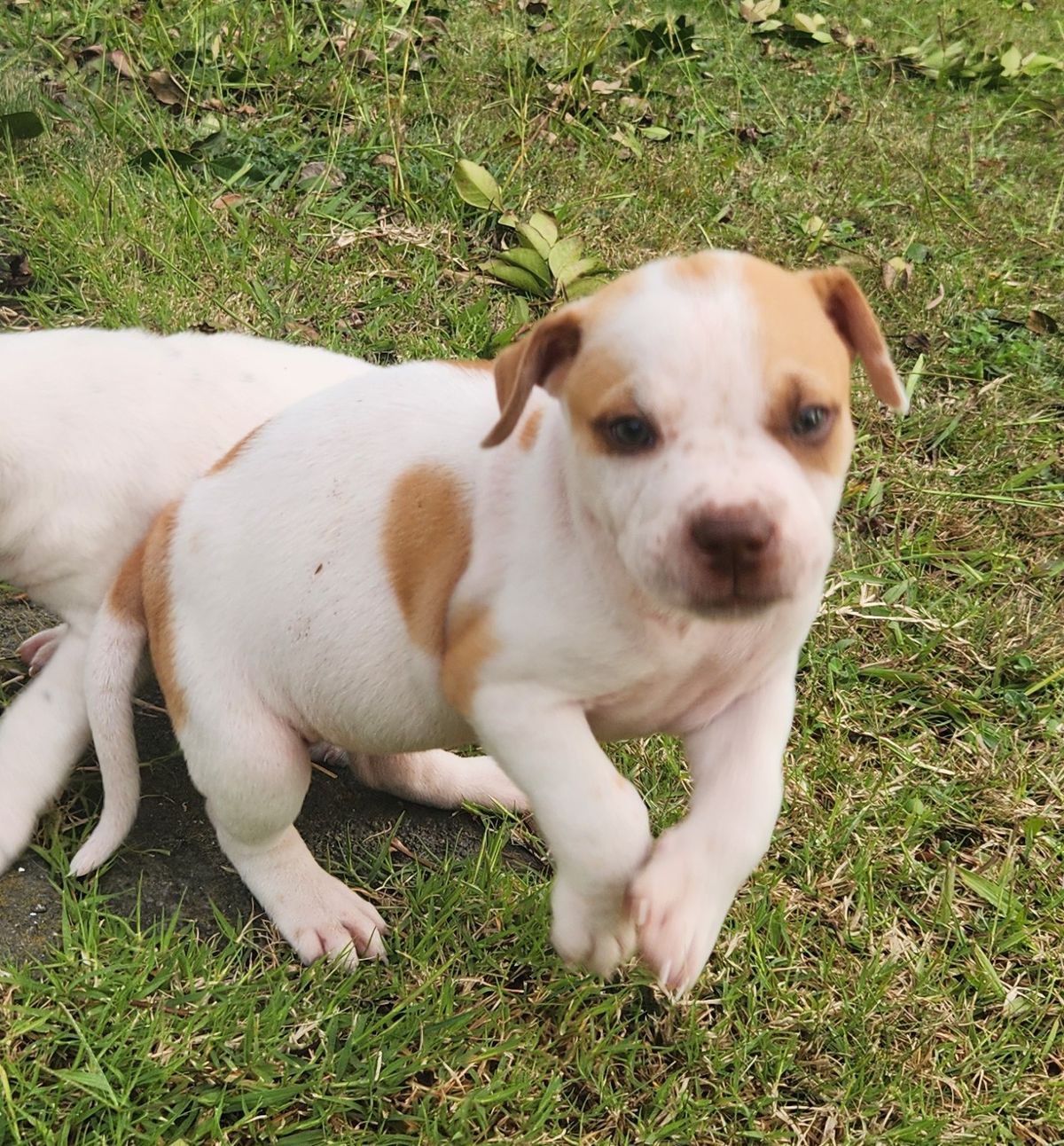 Gallery image: Selena