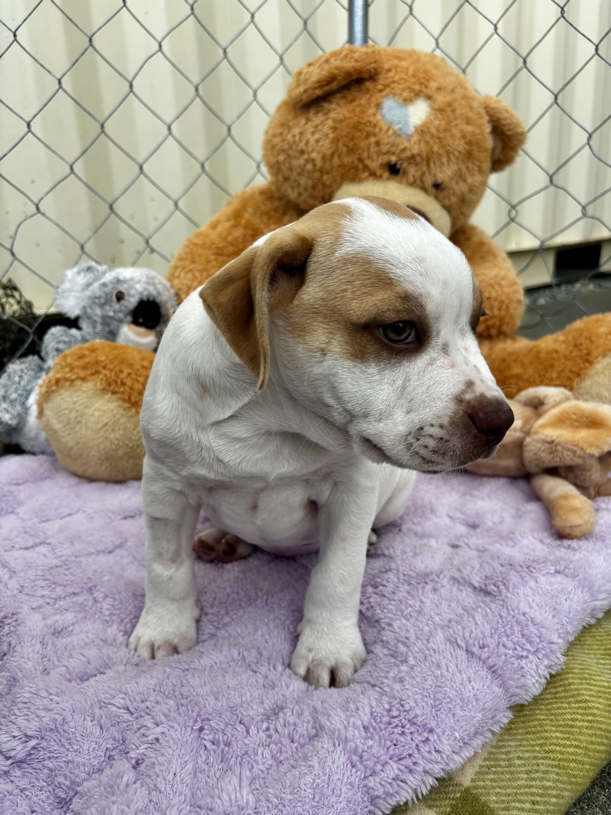 Gallery image: Selena 