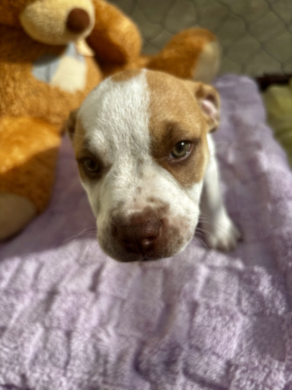 Gallery image: Selena 