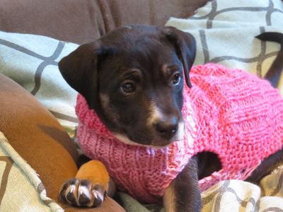 Edie