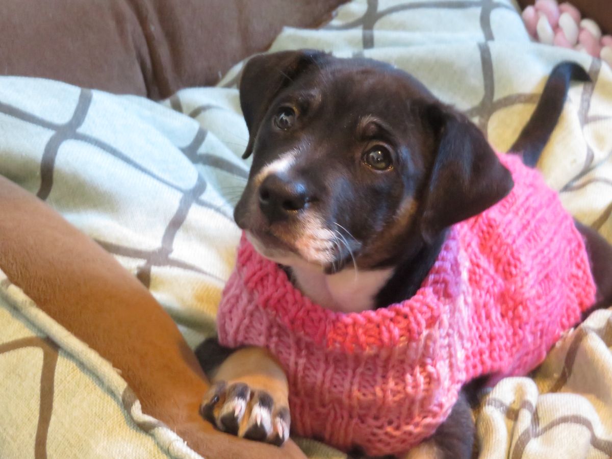 Gallery image: Edie