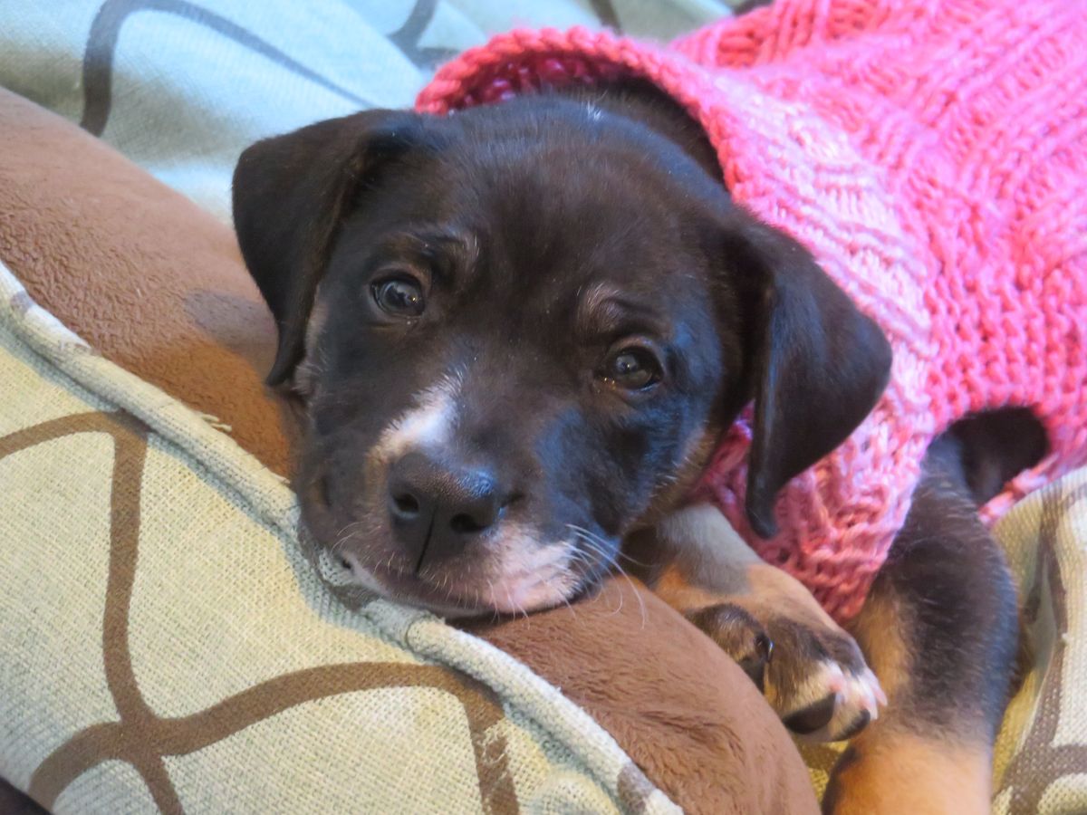 Gallery image: Edie