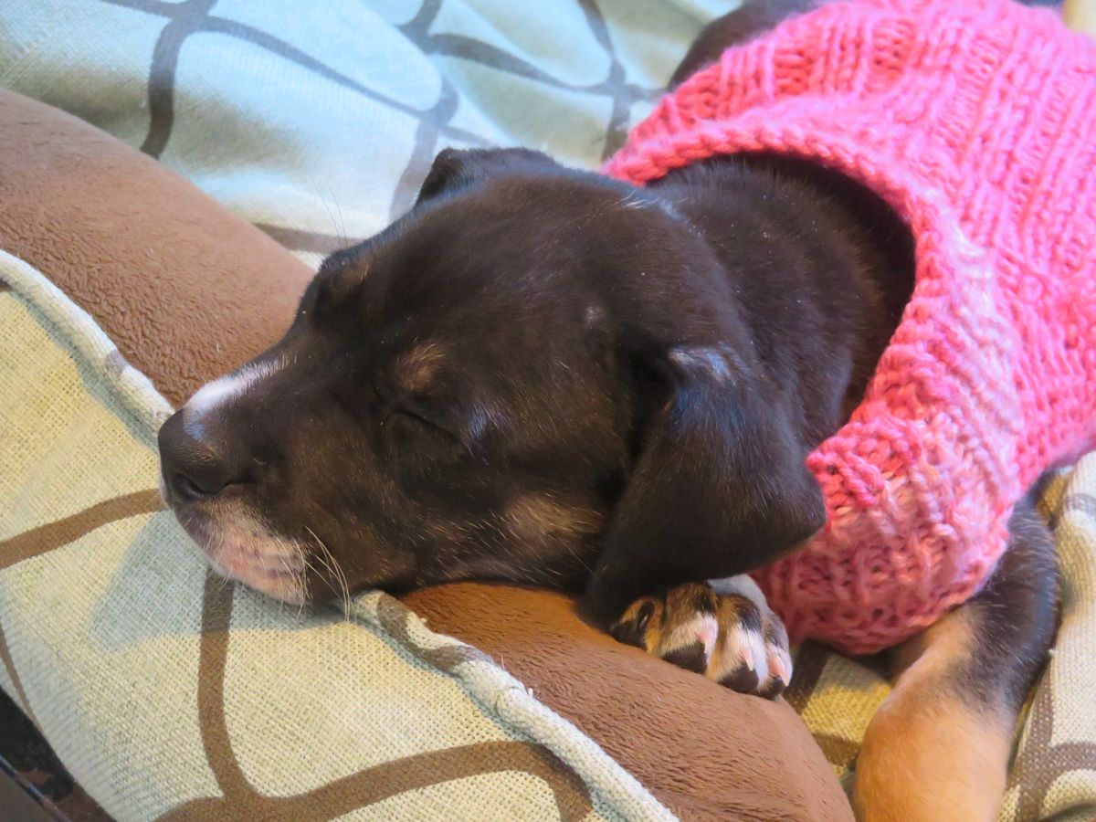 Gallery image: Edie