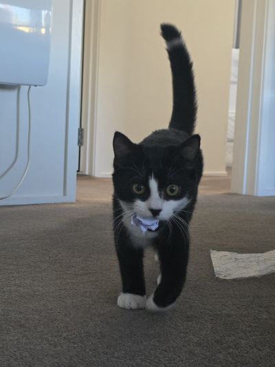 Luna