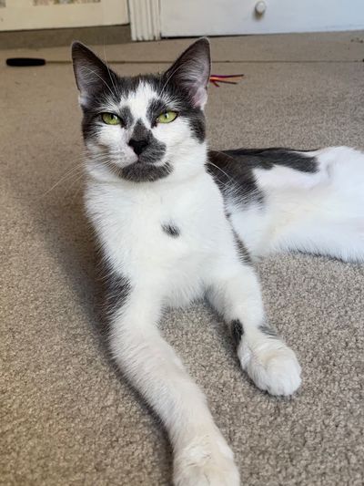 Esmeralda