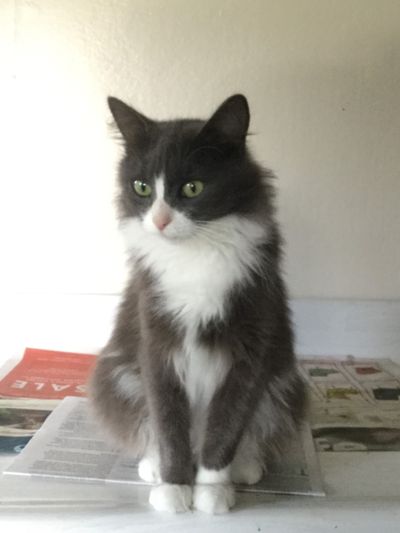 Maggie