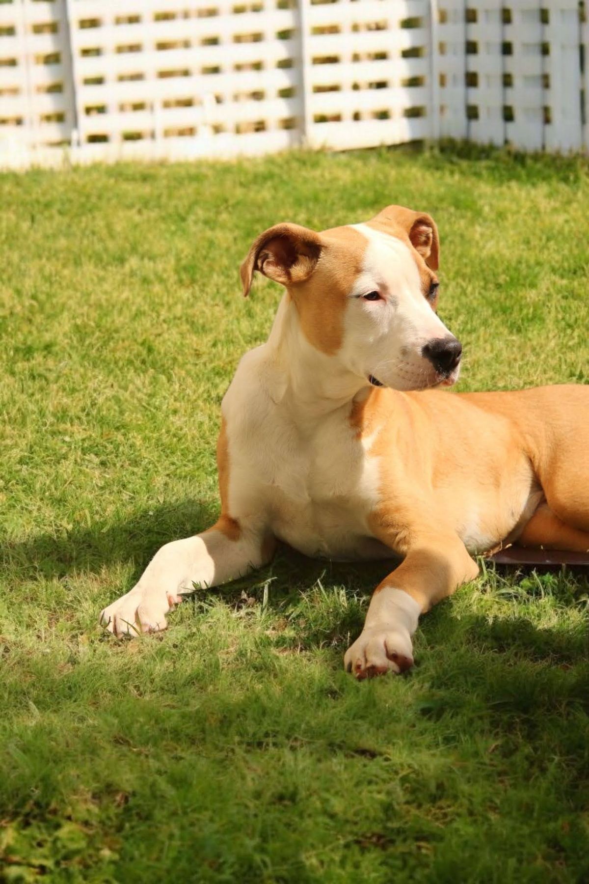 Gallery image: Archie
