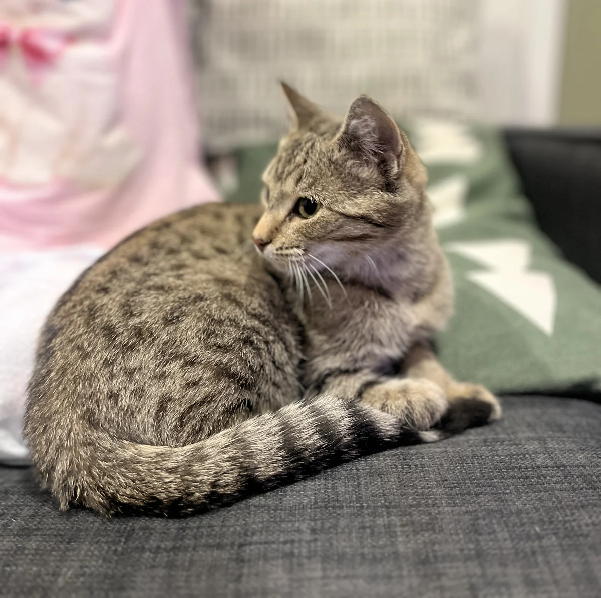 Gallery image: Lil' Lady