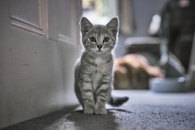 Eloise