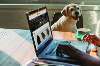 How SPCA’s Online Op Shop supports animals and sustainable living
