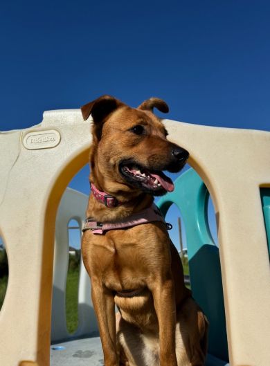 Gallery image: Lucy