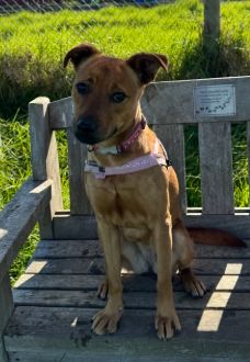 Gallery image: Lucy