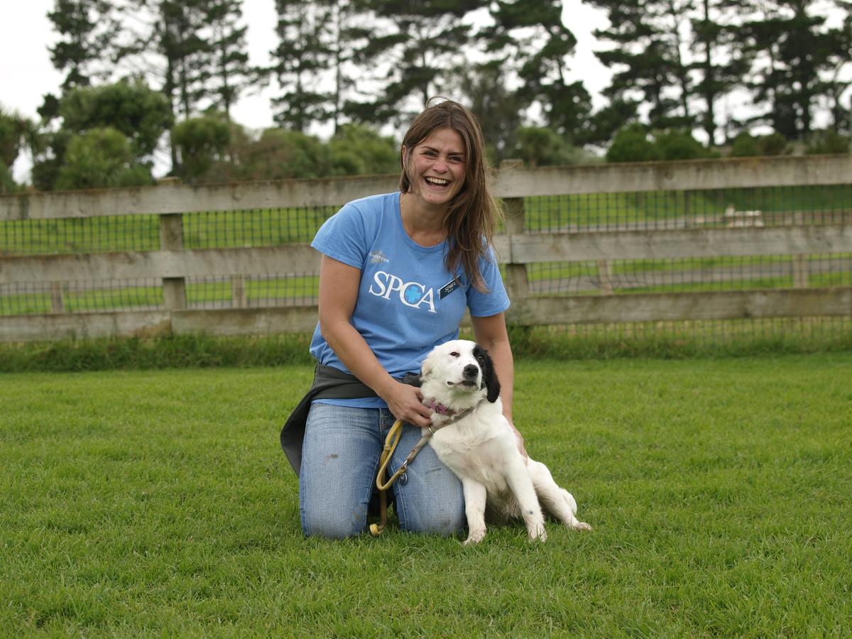 Animal Care Assistant – Dogs