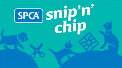 SPCA launches animal desexing campaigns in regions across New Zealand