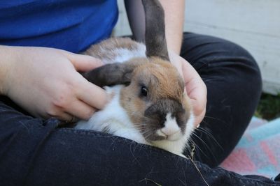 SPCA offers shelter for animals for people with COVID