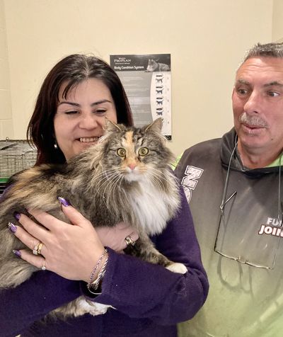 Tearful reunion between cat and owner after a year apart 