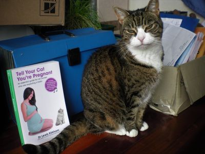 Preparing your pets for a new baby’s arrival