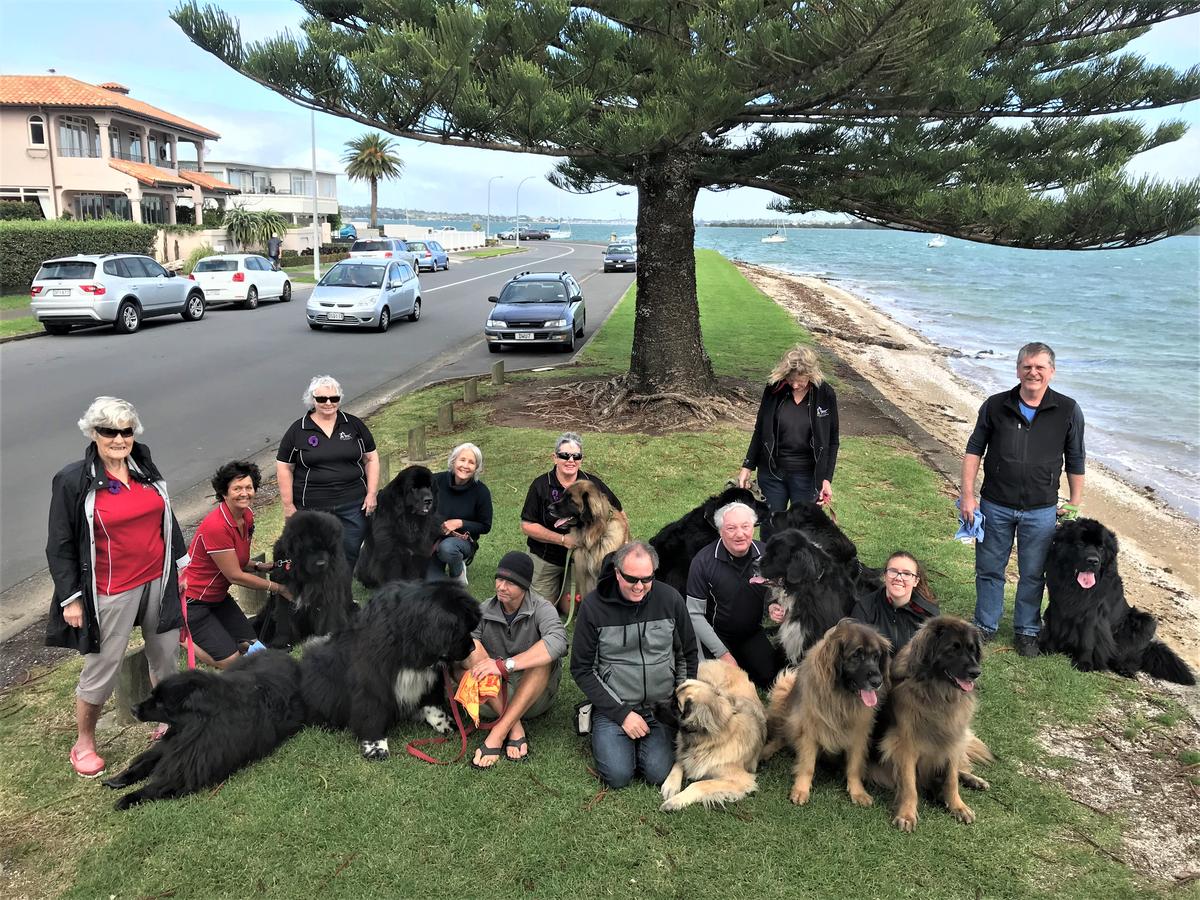 SPCA's Fundraising Superstars