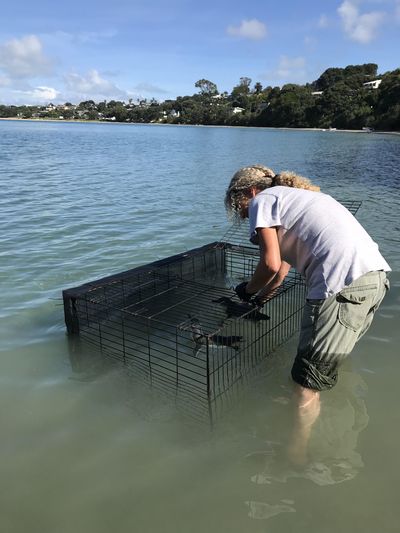 Nurturing our Natives