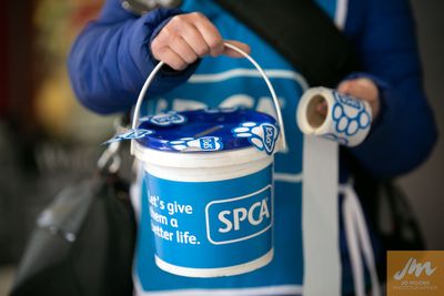 SPCA forced to pull the pin on Annual Street Appeal
