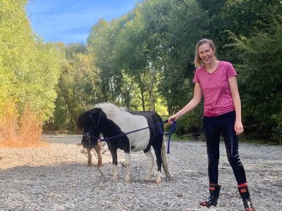 From rescued to rehomed - Badger's weight-loss journey