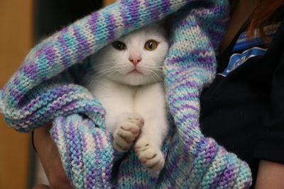 Pet owners reminded not to leave animals out in the cold