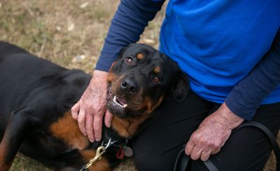 Wills Month – Celebrating the lasting legacies of our people  