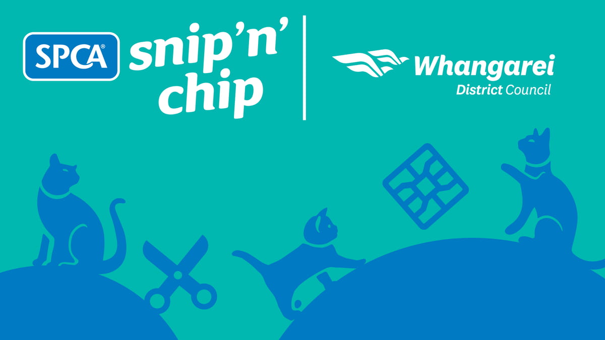 Whangarei Snip 'n' Chip 