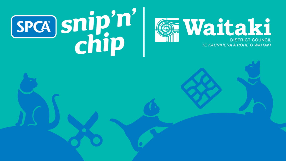 Waitaki Snip 'n' Chip 