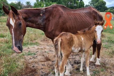 Marvel's story: back from the brink of death