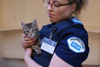 Govt neglects animal welfare yet again in latest Budget – SPCA 