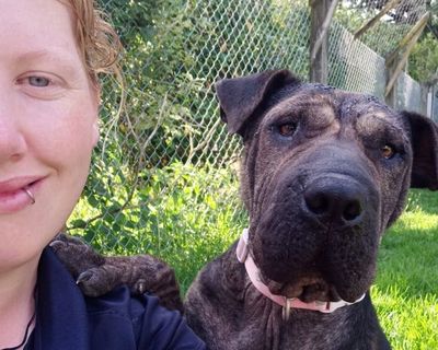 227 days recovering: this is Kimber’s story