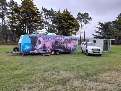 The journey of the SPCA Desexing Caravan begins today - here's everything you need to know