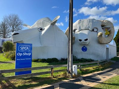 SPCA’s latest Op Shop opens in Tirau’s ‘Big Ram’