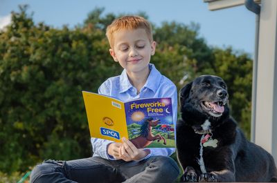 SPCA storybook ‘Fireworks Free’ a timely lesson