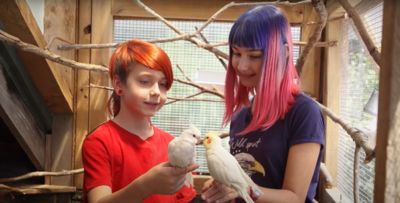 New animal care videos empower Kiwi kids 