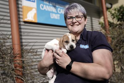TVNZ 1’s SPCA Rescue starts tonight! 