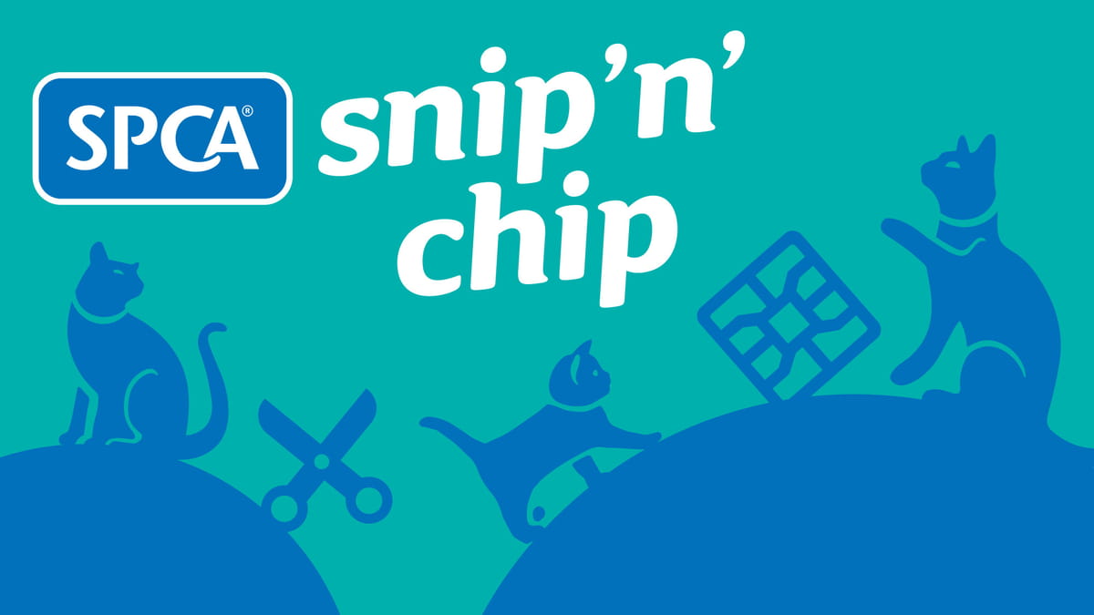Masterton Snip 'n' Chip